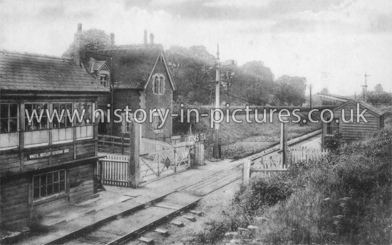 The Station & Crossing, White Notley, Essex. c.1908